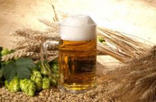 Heineken запускает проект по выращиванию солода в Башкирии и Иркутской области